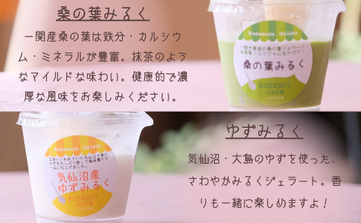 ブルーベリー農家のジェラート 12個パック（自家製ミニソース付き）/ ジェラート シャーベット アイス アイスクリーム デザート スイーツ スウィーツ カップアイス KOZENJIcafe【kzj105-set-12B】