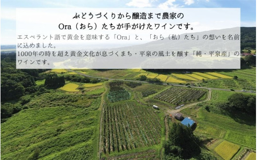 平泉ワイン　Ora　<<オラ>>　3種ハーフセット　375mL　3本セット　お酒 酒 アルコール 白ワイン 赤ワイン 白 赤 国産 宅飲み 飲み比べ ギフト 岩手県 平泉町 【mih-wine-004】