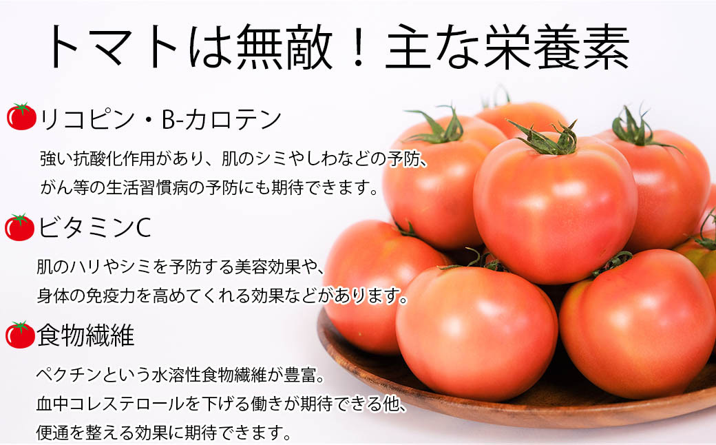 【令和7年度分予約受付】平泉町産 たかはしさんちの完熟トマト 約4kg(M玉サイズ) 【2025年6月下旬～9月下旬頃からの発送】/ トマト とまと 完熟 樹上完熟 野菜 やさい ベジタブル 甘い 濃厚 美味しい リコピン【tms401-m-4kgA】