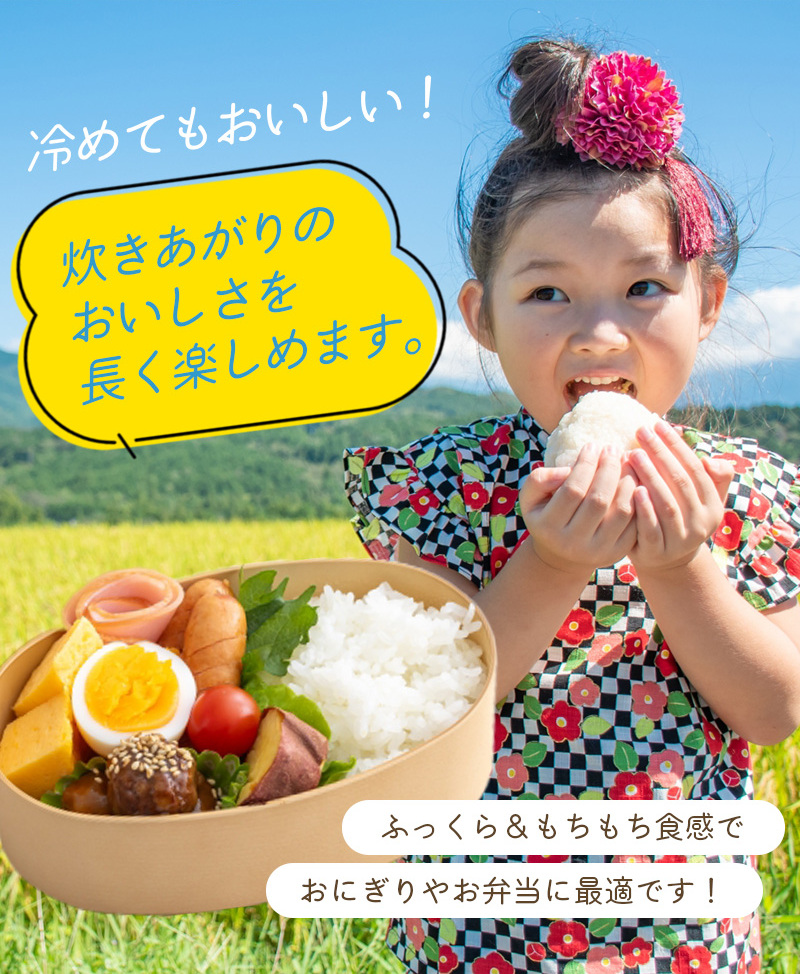 【12か月定期便】五ツ星お米マイスター厳選！ 直前精米 令和5年産 平泉町産 ひとめぼれ 白米 5kg×12回 計60㎏ 〈食味ランキング「特A」13年連続受賞〉/ こめ コメ 米 お米 おこめ 白米 ご飯 ごはん ライス 定期便 米定期便【mtk431-hito-5x12】