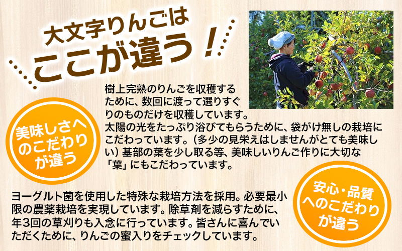 ≪11月末までの受付≫〈超大玉！〉大文字りんご　大夢（おおゆめ） 約5kg (10～12玉) 【2025年11月30日までの受付】/ りんご リンゴ 林檎 果物 くだもの フルーツ 甘い 旬 産地直送 予約 先行予約 りんご リンゴ りんご リンゴ りんご リンゴ りんご リンゴ りんご リンゴ りんご リンゴ 【dma513-l-oy-big】