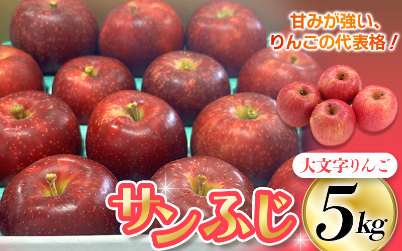 人気No.1！≪無くなり次第終了≫【2026年1月上旬～順次発送】大文字りんご園 サンふじ 小玉サイズ 約5kg (約18~20玉) / 樹上完熟 りんご リンゴ 林檎 果物 くだもの フルーツ 甘い 旬 産地直送 予約 先行予約 りんご リンゴ  りんご リンゴ  りんご リンゴ  りんご リンゴ  りんご リンゴ  りんご リンゴ  りんご リンゴ  りんご リンゴ  りんご リンゴ  りんご リンゴ 【dma513-sf-5E】
