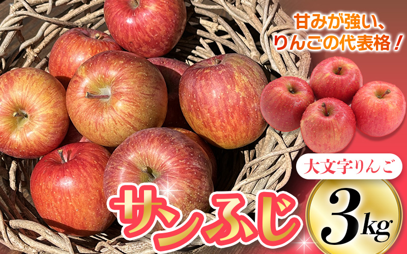 [令和6年度分予約受付]大文字りんご園 サンふじ 約3kg (7〜10玉) [2024年12月上旬より順次発送]/ 樹上完熟 りんご リンゴ 林檎 果物 くだもの フルーツ 甘い 旬 産地直送 予約 先行予約 りんご リンゴ りんご リンゴ りんご リンゴ りんご リンゴ りんご リンゴ りんご リンゴ りんご リンゴ りんご リンゴ りんご リンゴ りんご リンゴ りんご [dma513-sf-3B]