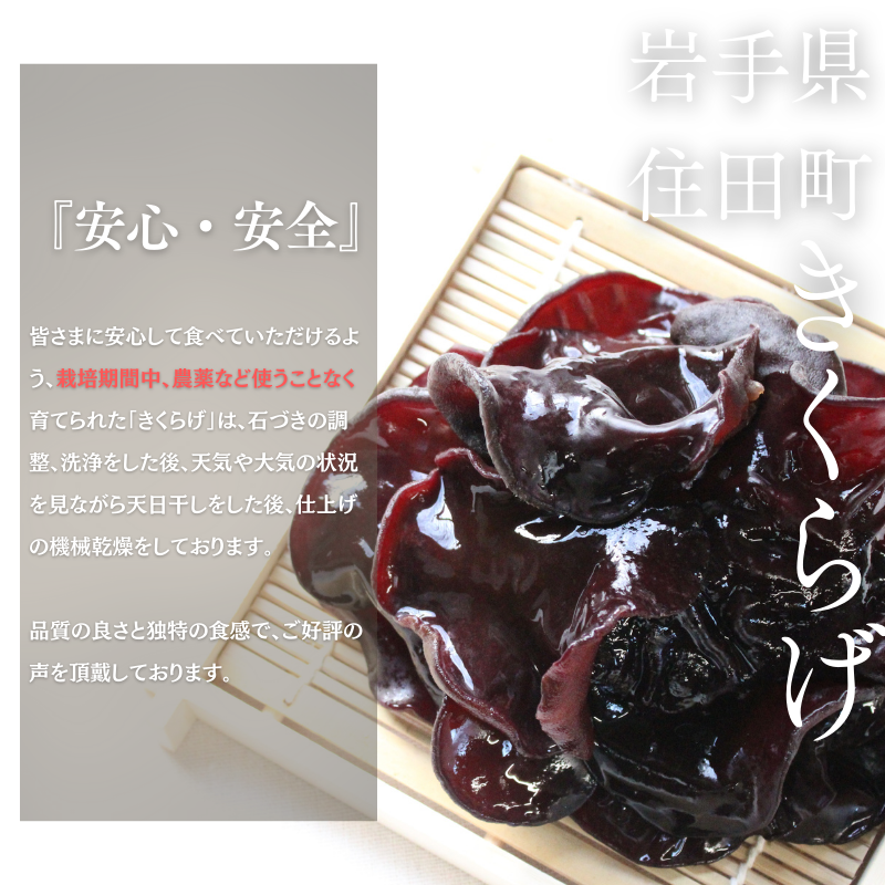 岩手県産 訳あり乾燥きくらげ 100g コリっとプルプル食感がたまらない国産きくらげ / きくらげ 乾燥きくらげ 国産きくらげ キノコ 菌床 岩手県 住田町[#0125_pre]
