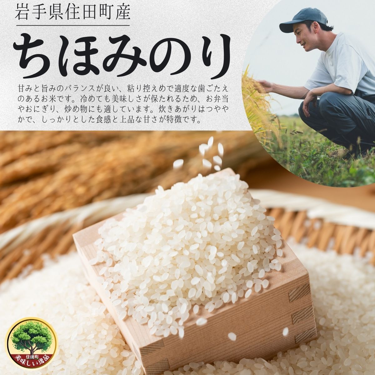 岩手県産精米 ちほみのり 5kg /お米 岩手県産 白い 艶 冷めてもおいしい 白米 国産米 ギフト 送料無料 ふるさと納税[#0135-05]