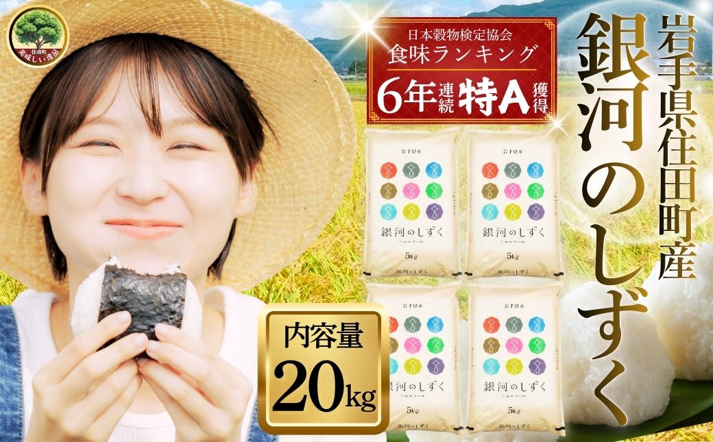 岩手県産精米 銀河のしずく 20kg 小分け / お米 ブランド米 岩手県産 白い 艶 冷めても おいしい 白米 国産米 ギフト 贈り物 送料無料 ふるさと納税【#0138-20】