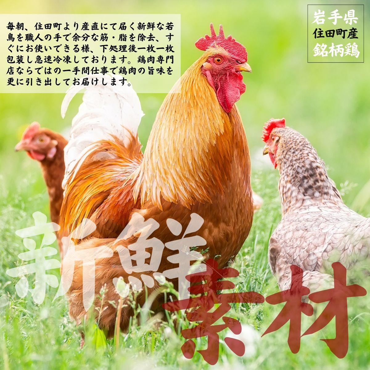 【小分け】みちのく清流どり ムネ肉 切身 3.5kg セット (350g×10パック)　／ カット 鶏肉 とりむね むね肉 胸肉 ブランド 鳥肉 個包装 小分け 大人気 セット 冷凍 真空パック 国産 ヘルシー 健康 350g 3.5kg 送料無料【#0155】