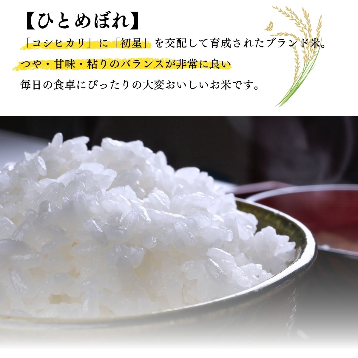 【先行予約・新米・2025年10月中旬より発送】岩手県住田町産精米 ひとめぼれ10kg　敏郎俺の米 ／精米 白米 銘柄米 単一原料米 岩手県【#0027】