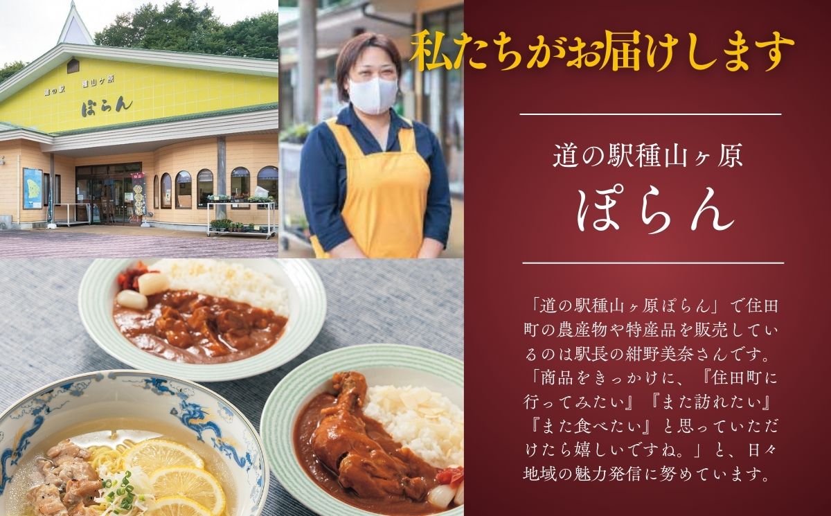 アリスポークカレー5袋セット（辛口2/中辛3)　／ レトルト カレー 辛口 中辛 ポーク 豚 詰め合わせ ご当地 ギフト【#0153_kai】