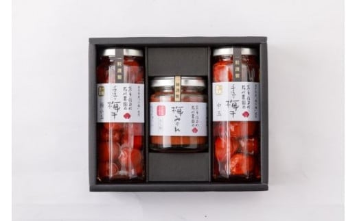 手作り梅干しセット[#0022_kai]