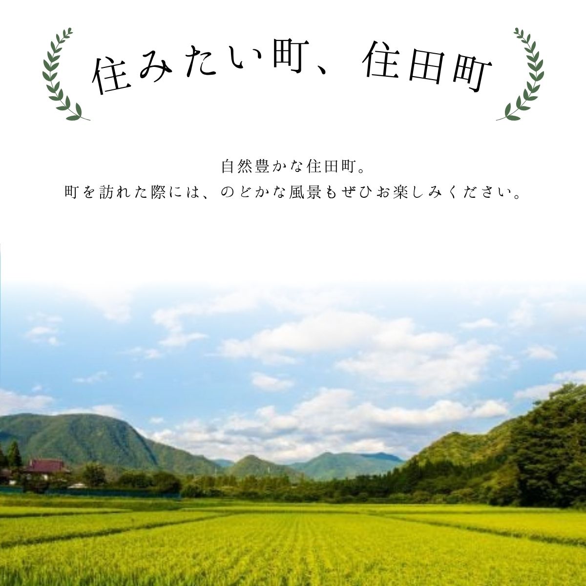 お菓子工房「eat＋（ｲｰﾄﾌﾟﾗｽ）」焼き菓子セット[#0015_eat]