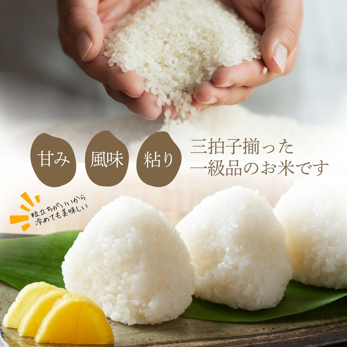 岩手県産精米 ちほみのり 5kg /お米 岩手県産 白い 艶 冷めてもおいしい 白米 国産米 ギフト 送料無料 ふるさと納税[#0135-05]