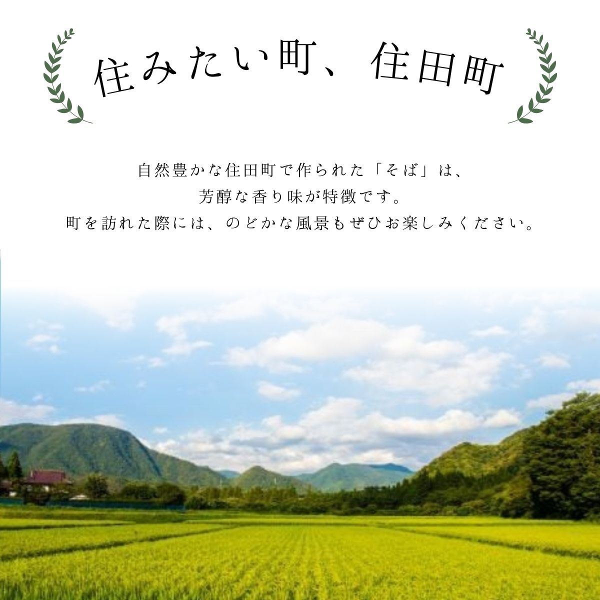 ありす蕎麦200g×6袋 ／ 蕎麦 干し蕎麦 乾麺 国産 岩手県産 保存料 無添加【#0132_kai】