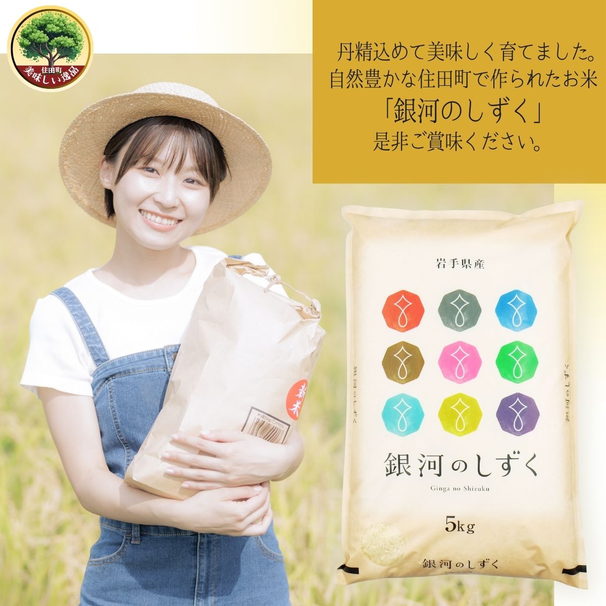 岩手県産精米 銀河のしずく 10kg 小分け/ お米 ブランド米 岩手県産 白い 艶 冷めても おいしい 白米 国産米 ギフト 贈り物 送料無料 ふるさと納税【#0138-10】