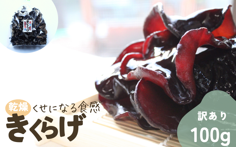 岩手県産 訳あり乾燥きくらげ 100g コリっとプルプル食感がたまらない国産きくらげ / きくらげ 乾燥きくらげ 国産きくらげ キノコ 菌床 岩手県 住田町[#0125_pre]