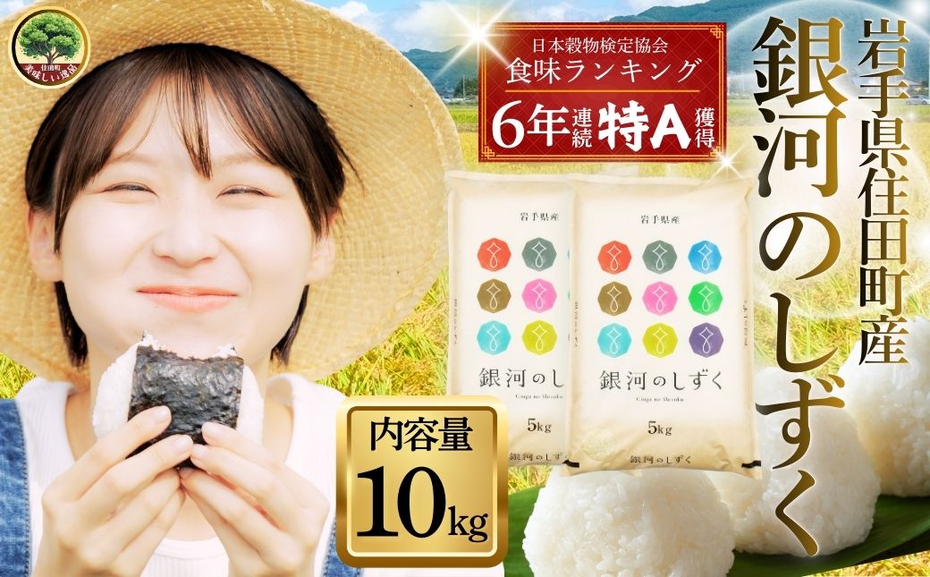 岩手県産精米 銀河のしずく 10kg 小分け/ お米 ブランド米 岩手県産 白い 艶 冷めても おいしい 白米 国産米 ギフト 贈り物 送料無料 ふるさと納税【#0138-10】