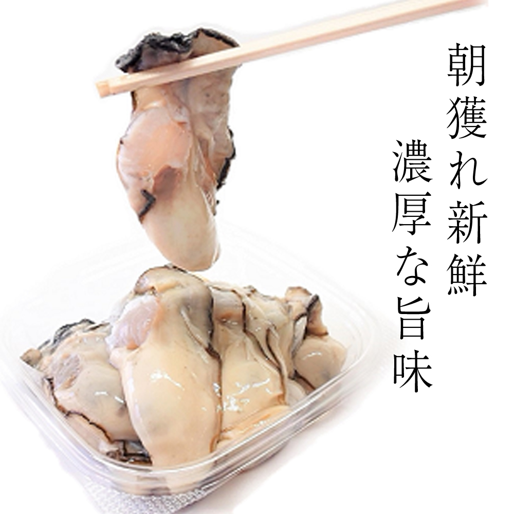 【2025年12月より発送】岩手 三陸産 むき牡蠣 300g×2パック(加熱用)【05】