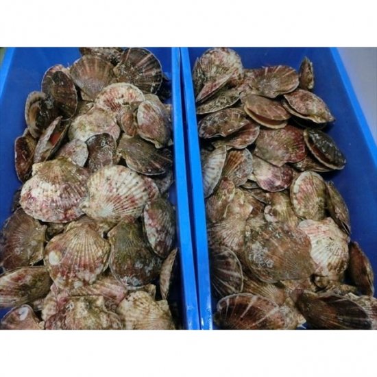 大槌のホタテ貝燻製 S 40g×3個セット