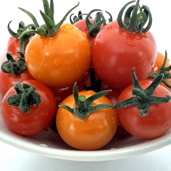 【2026年1月より発送】【和ちゃん農園】ミニトマトジュース (720ml×2本)｜トマト ジュース 無添加 アレンジ 料理 酒 岩手 いわて iwate 大槌