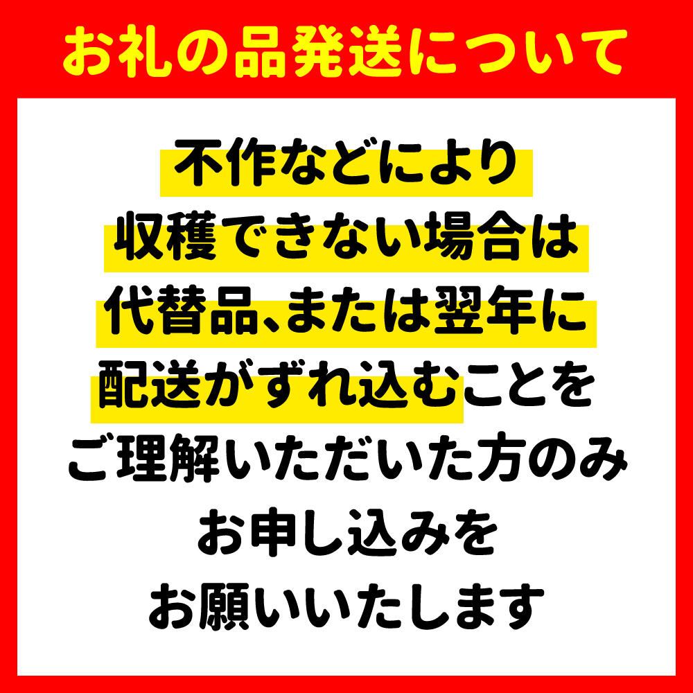 【令和8年10月より発送 先行予約】大槌産 まつたけ ミックスサイズ 250g 松茸 初栄丸