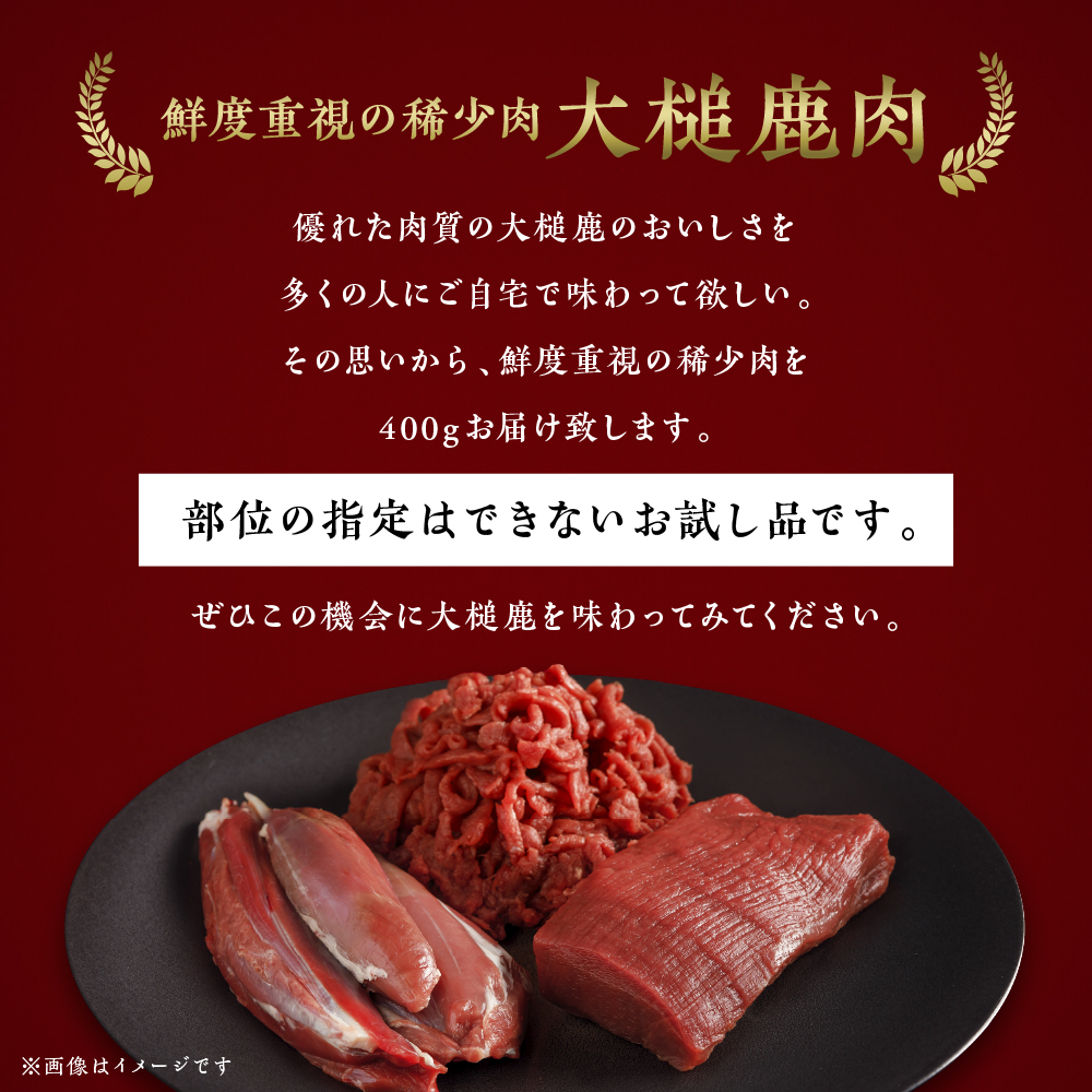 【ジビエ】大槌産 鹿肉 400g｜岩手県 大槌ジビエ いわて iwate 三陸 MOMIJI