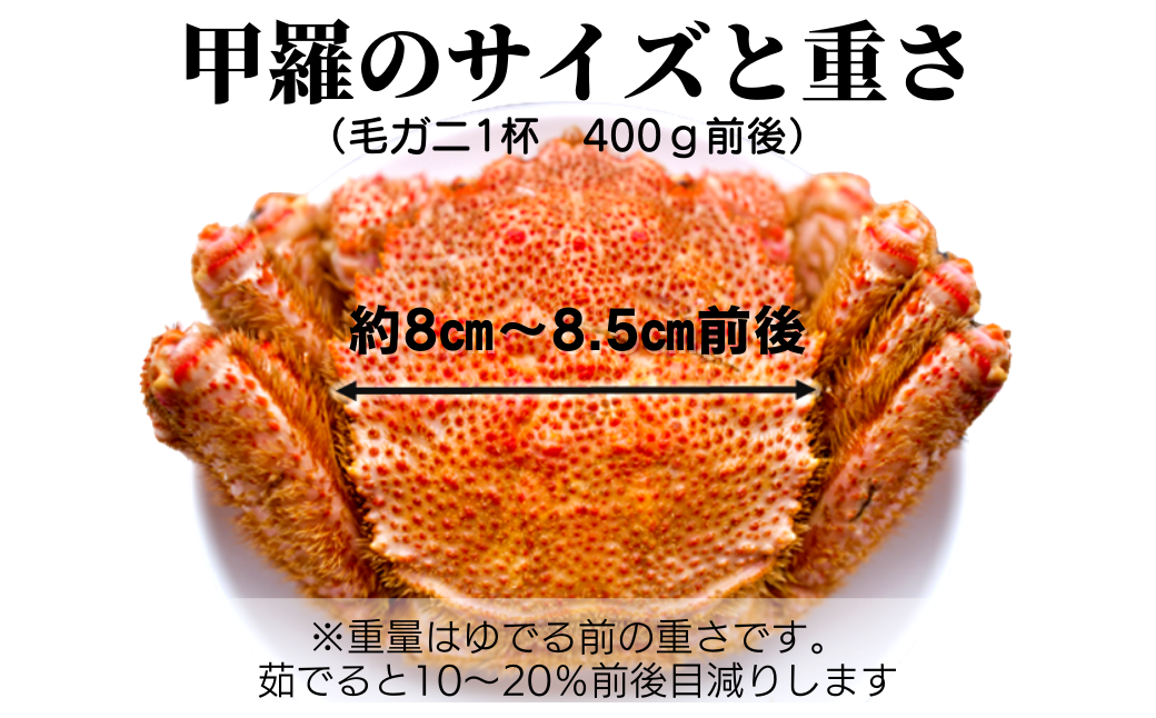 【令和8年発送】三陸産 三陸活毛ガニ400g×1杯【2026年3月～4月発送】【05】