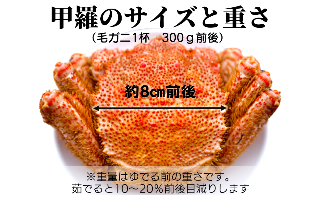 【令和8年発送】三陸産 三陸活毛ガニ 300g×4杯【2026年3月～4月発送】【05】