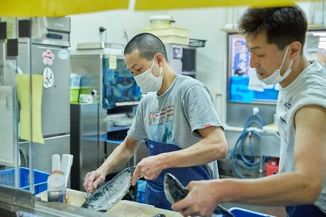 【定期便6回】朝獲れ海の幸セット（旬の鮮魚、海藻などの詰合せ）鮮魚 詰め合わせ 海鮮 魚介 魚貝 新鮮 旬 お楽しみ