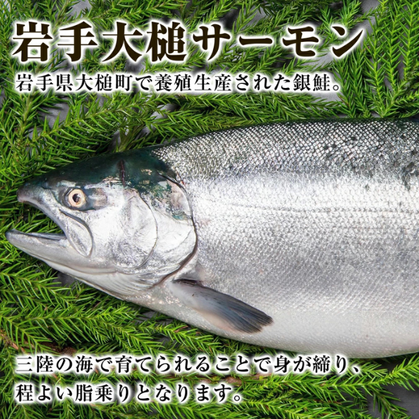 【大槌サーモン】定塩・塩切身約1.6kg (4～5切入り 真空パック×4パック)