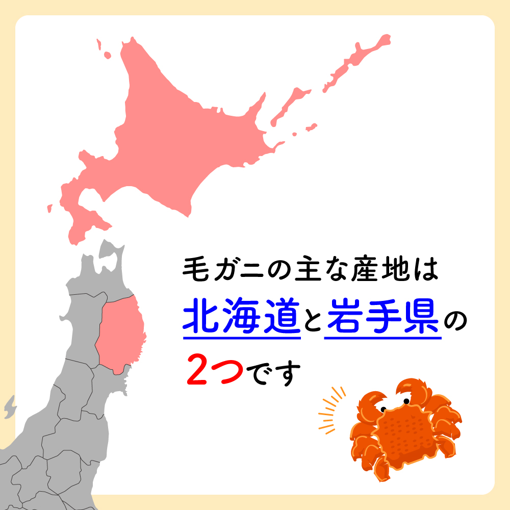 【令和8年発送】三陸産 活毛ガニ(約450g相当×2杯)【03】【2026年3月～5月発送】