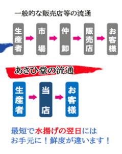 【令和8年発送先行予約】天然生うに 100g×3個【2026年5月上旬～8月発送】【05】