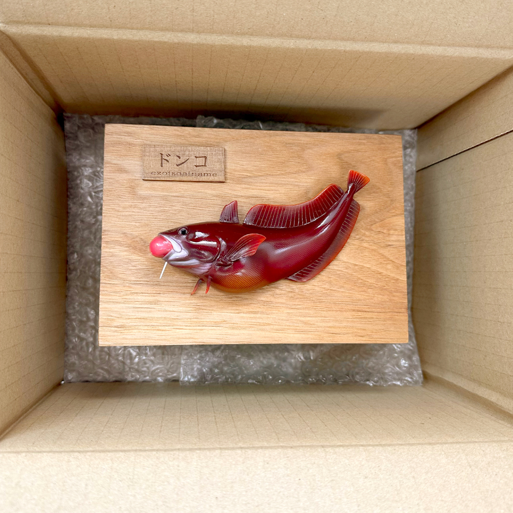 【壁掛け】ドンコ1点