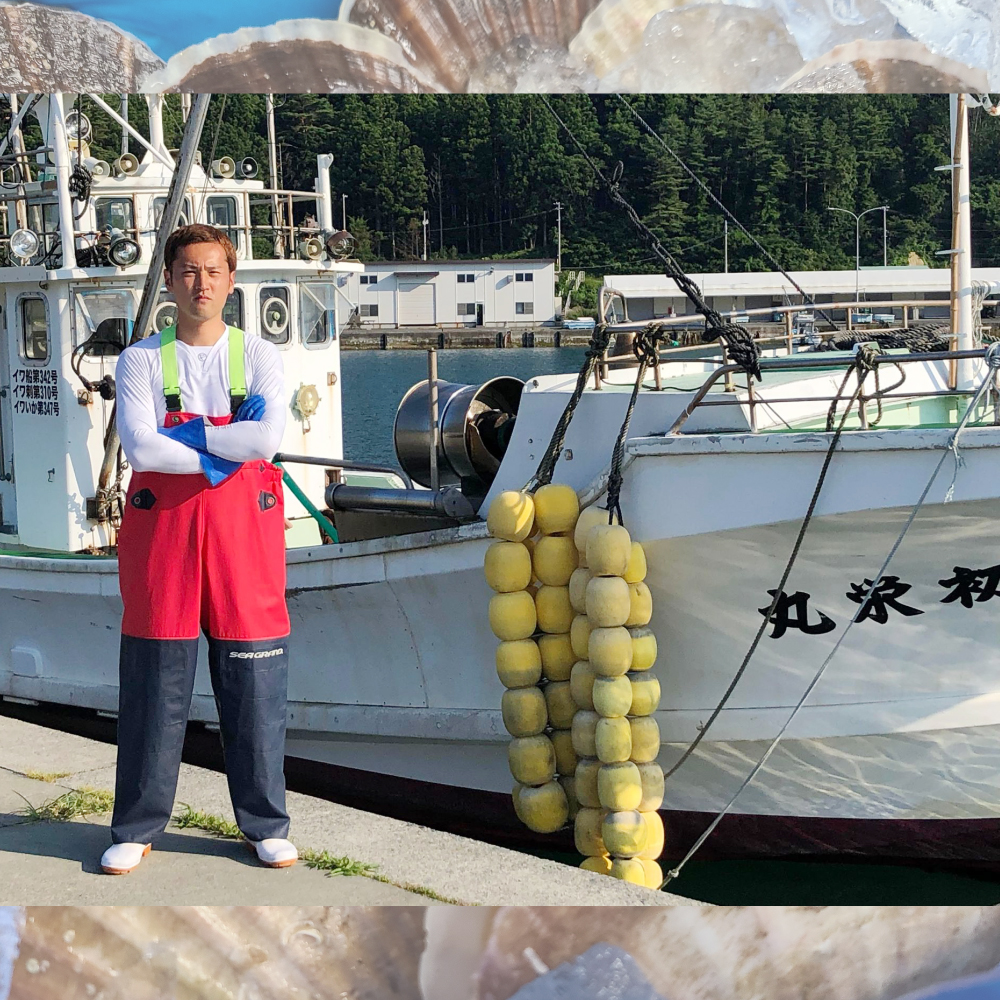 【期間限定！令和8年3月～4月発送】訳アリ三陸産活毛ガニ 1kg 【35】天然 国産 冷蔵 三陸 直送 濃厚 かに 蟹 カニ 毛ガニ 毛蟹 毛がに 初栄丸