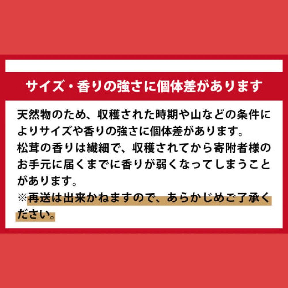 【令和8年10月より発送 先行予約】大槌産 まつたけ ミックスサイズ 125g 松茸 初栄丸