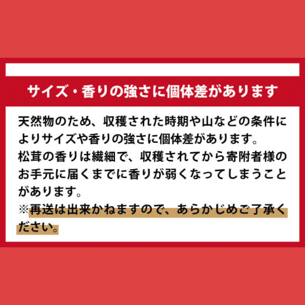 【令和8年10月より発送 先行予約】大槌産 まつたけ ミックスサイズ 250g 松茸 初栄丸