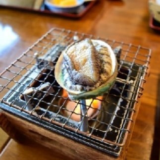 【2025年11月～発送】アワビ 約500g ( 4個前後) ※アワビヘラ＆軍手付き※【期間限定】｜11月～12月発送 三陸 岩手県 大槌町 あわび 人気 鮑 刺身 いわて iwate 2025 初栄丸