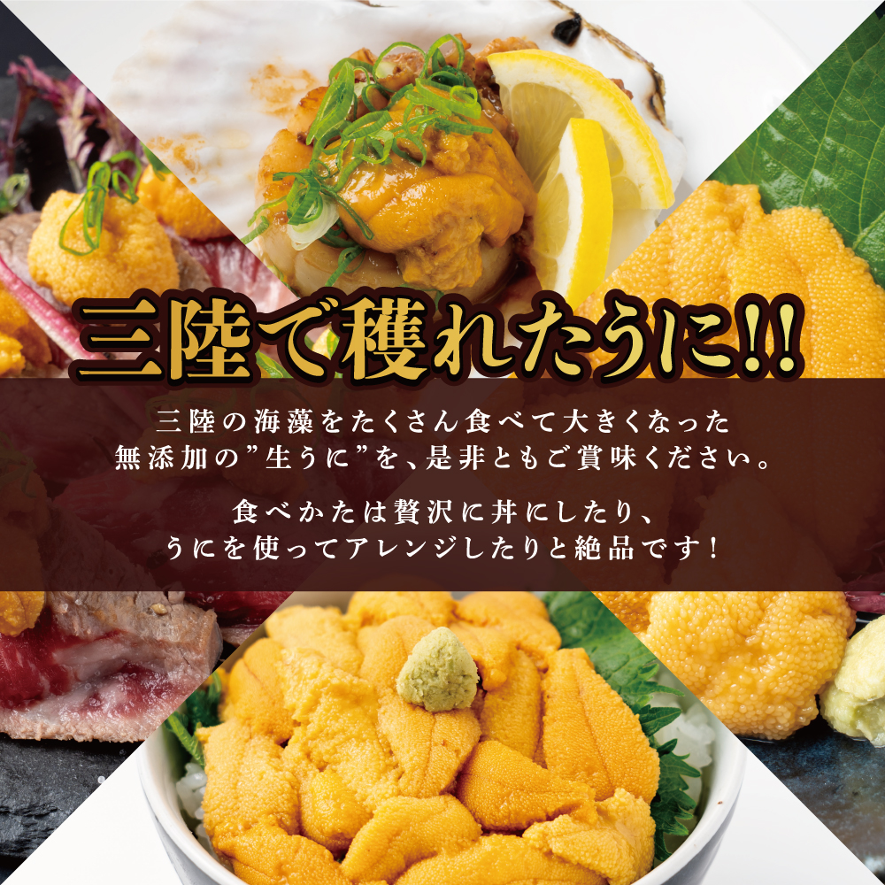 【令和8年発送先行予約】岩手三陸生うに牛乳瓶入150g×1本【2026年5月～8月発送】【19】