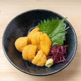 【令和8年発送先行予約】天然生うに 100g×1個【2026年5月上旬～8月発送】【05】