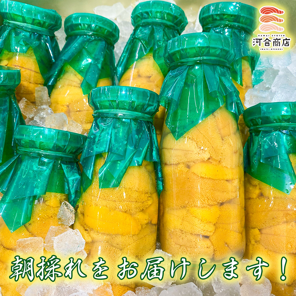 【令和8年発送】【4年連続 ランキング1位】無添加『生うに』 天然 岩手三陸産 朝獲れ ミョウバン不使用 150g×2本【2026年4月下旬～8月発送】【15】