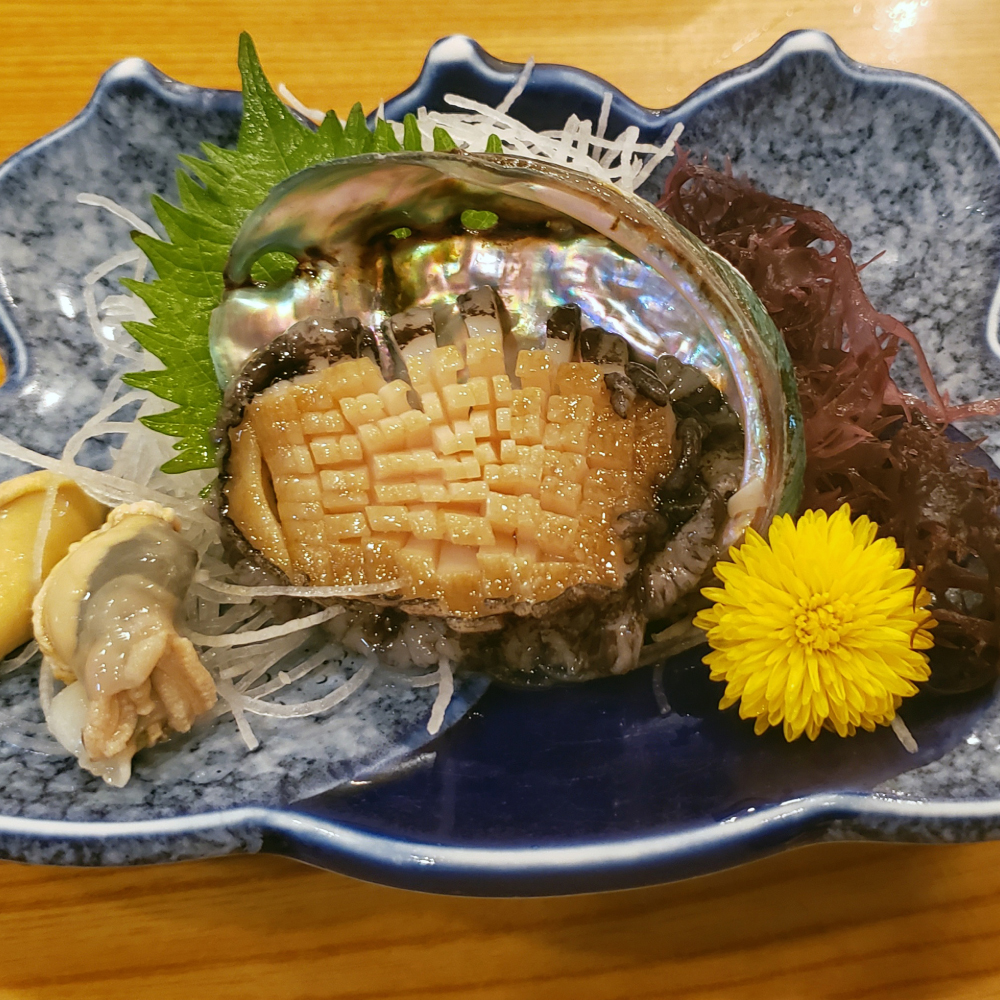 【11月～12月発送】三陸産 活アワビ 約500g (3～4個)【期間限定】【08】｜ 冷蔵 岩手県 大槌町 あわび 人気 鮑 いわて iwate 2026【配送日・曜日指定不可】