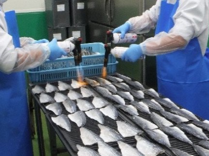 三陸 炙り〆サバ  80g×5個 炙りしめサバ