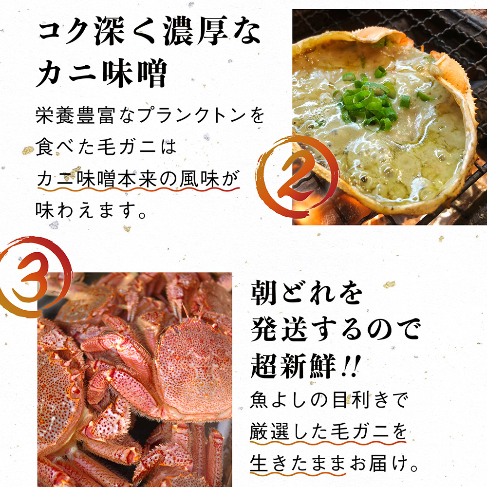 【令和8年発送先行予約】【訳あり】三陸産 活毛ガニ 5kg【08】【2025年2月～4月発送】