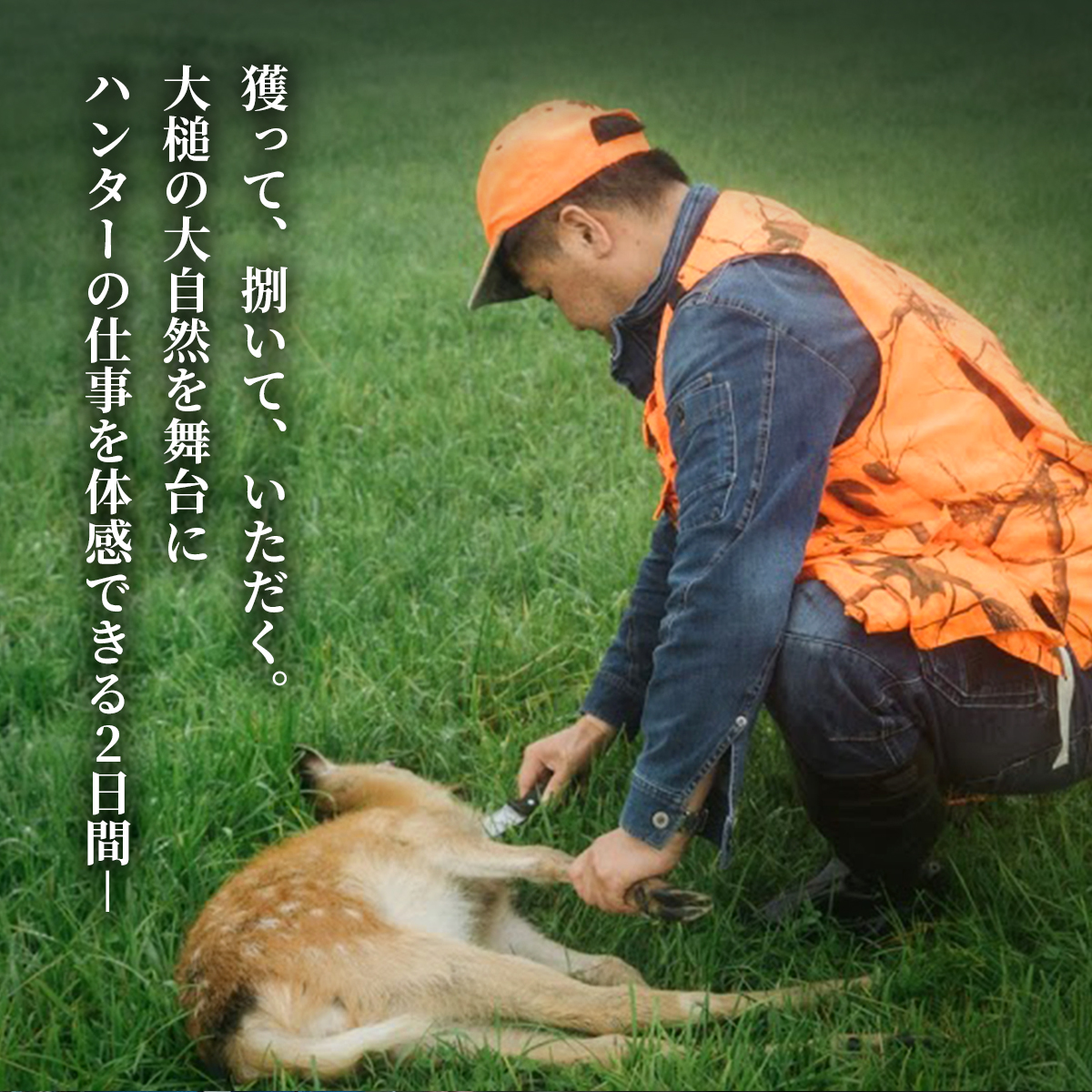 ｢獲る｣瞬間を体感する【大槌ジビエツーリズムチケット】4名分｜体験 チケット ジビエ 鹿 岩手県大槌町 大槌ジビエ 体験型