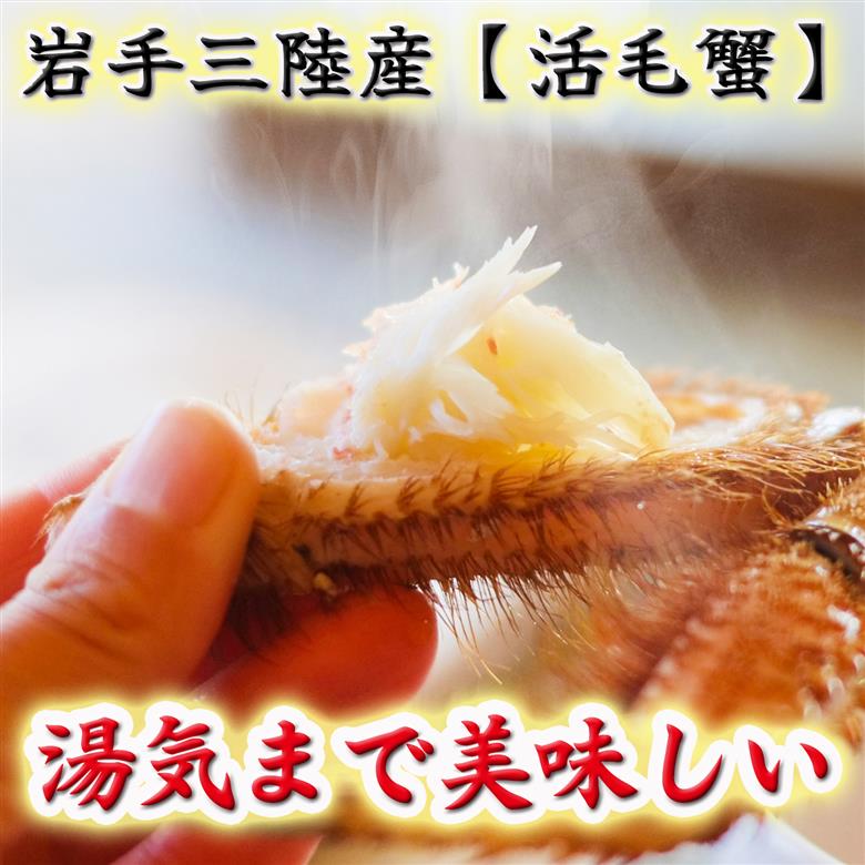 【令和8年発送】岩手三陸産【活毛蟹】| 300g×2【2026年2月～4月発送】【15】新鮮の極 | 毛がに 毛かに