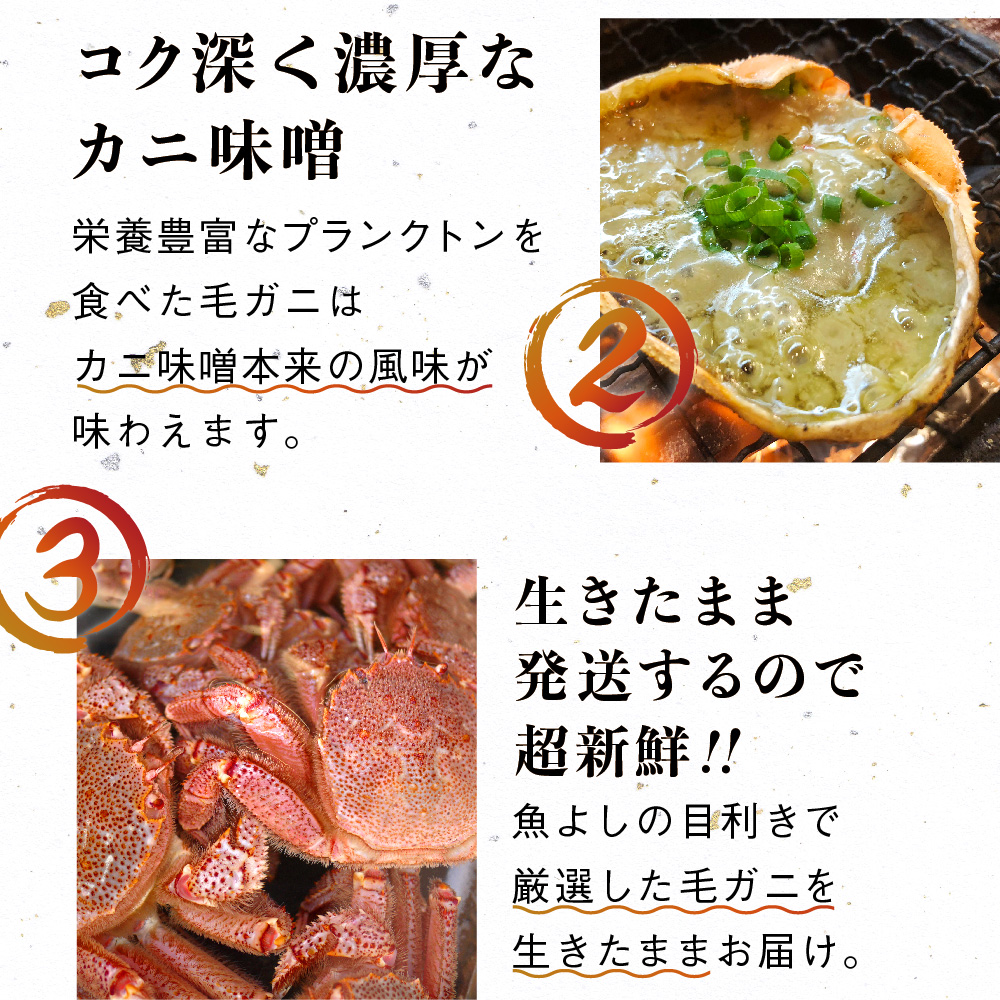 【令和8年発送先行予約】【3回定期便】三陸産！活毛ガニ 400g相当×2杯【08】 【2026年2月～4月発送】