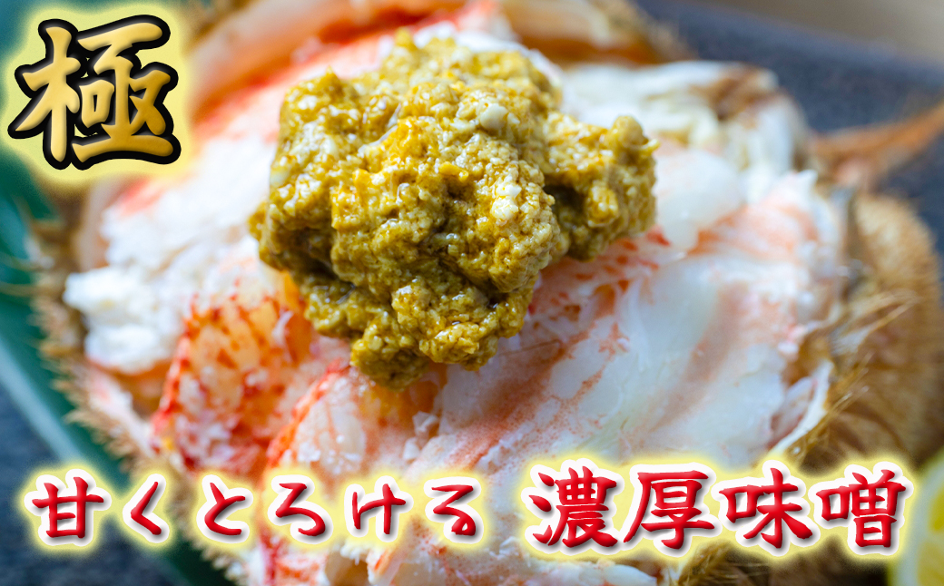【令和8年発送先行予約】【訳あり】三陸産！活毛ガニ1kg (2～4杯(尾))【2026年2月～4月発送】【15】