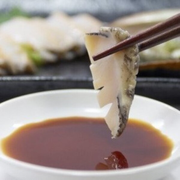 【2ヶ月定期便】アワビ 約500g (4個前後) ※アワビヘラ＆軍手付き※【期間限定】【35】 三陸 岩手県 大槌町 あわび 人気 鮑 刺身 いわて iwate 2025 初栄丸