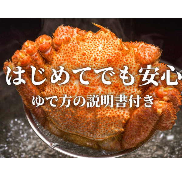 【令和8年発送】三陸産 三陸活毛ガニ 400g×3杯【2026年3月～4月発送】【05】