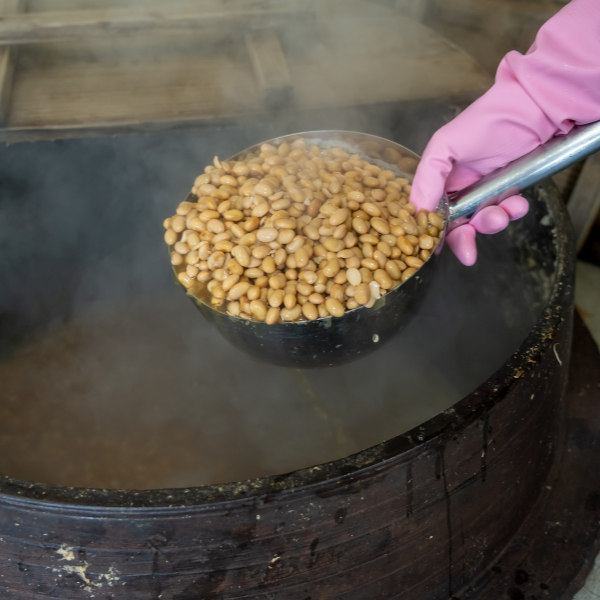 【2026年5月より発送】千味噌 1kg