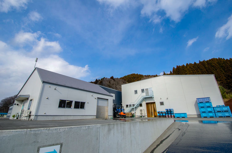 《三陸伝統の味》手作り イカの口っこ煮300g×5個